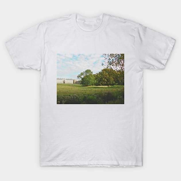 Spring Manor T-Shirt by P.E. Fireisland